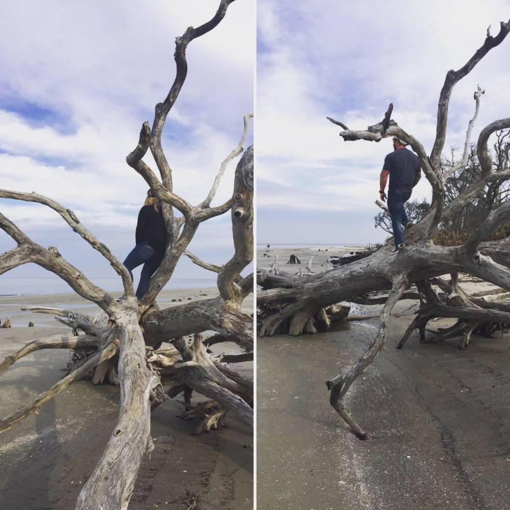 Meet your Posher, Tasha